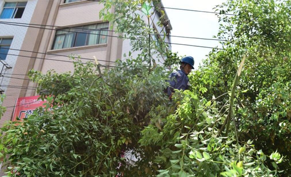 輸電線路防外破監(jiān)測(cè) 輸電線路防外破監(jiān)測(cè)