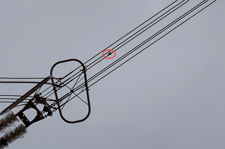 初心如磐，特力康高壓輸電線路導(dǎo)線溫度在線監(jiān)測系統(tǒng)