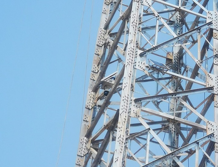 輸電線路便攜式AI智能球機(jī)監(jiān)控裝置 輸電線路便攜式AI智能球機(jī)監(jiān)控裝置