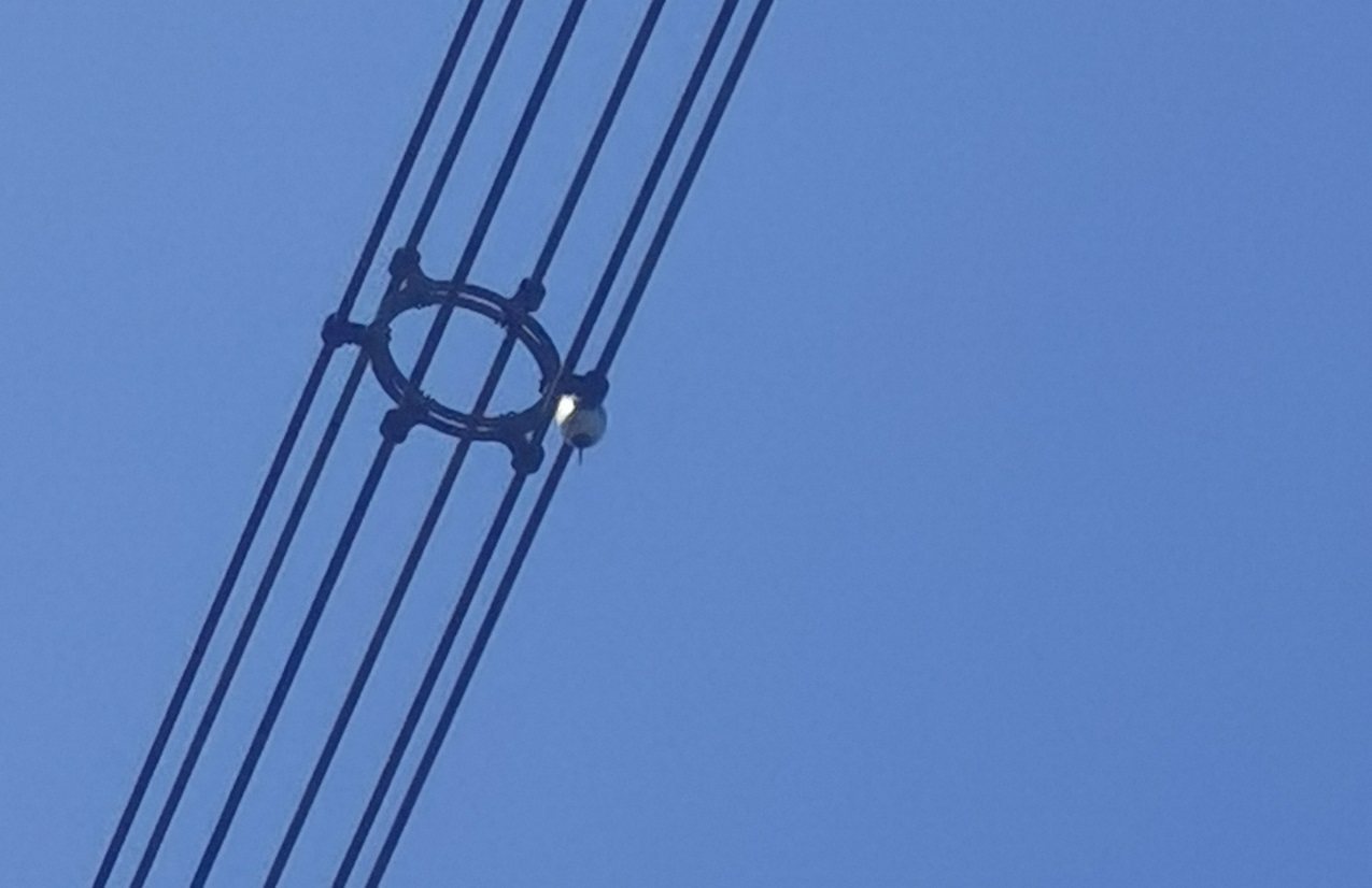 特力康輸電線路弧垂在線監(jiān)測裝置傳感器 特力康輸電線路弧垂在線監(jiān)測裝置傳感器