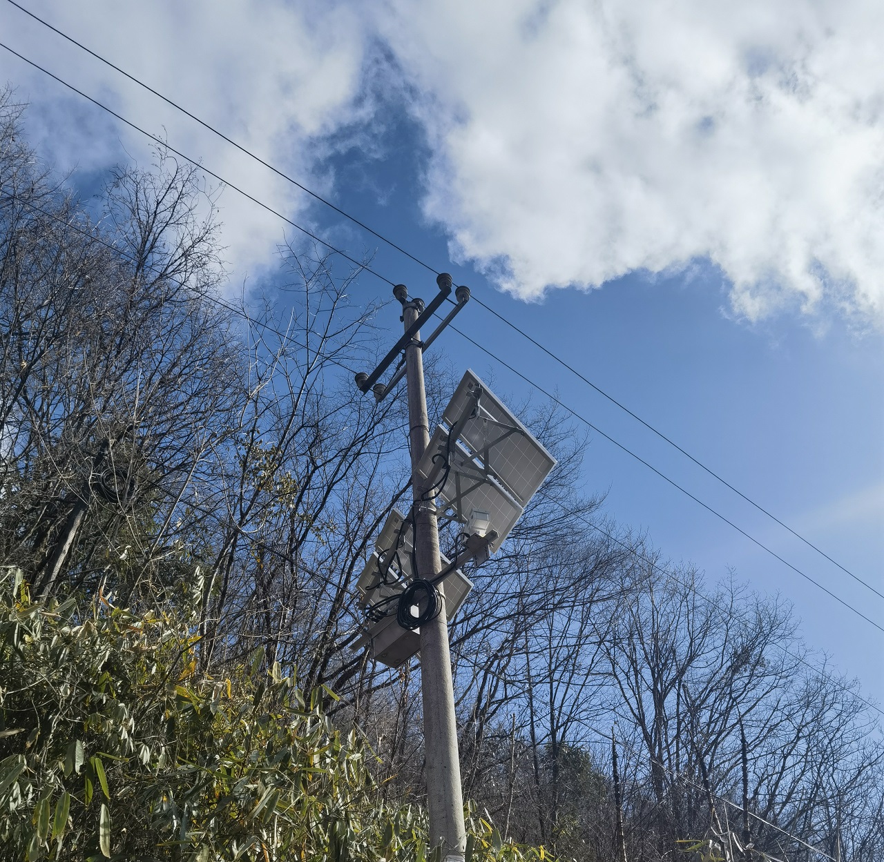 深圳特力康輸電線路防山火視頻監(jiān)控系統(tǒng) 深圳特力康輸電線路防山火視頻監(jiān)控系統(tǒng)